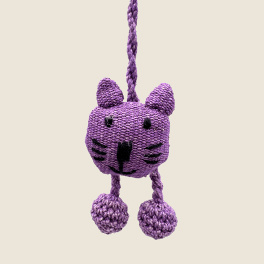Gato Violeta